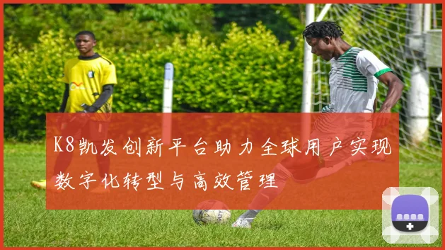 K8凯发创新平台助力全球用户实现数字化转型与高效管理