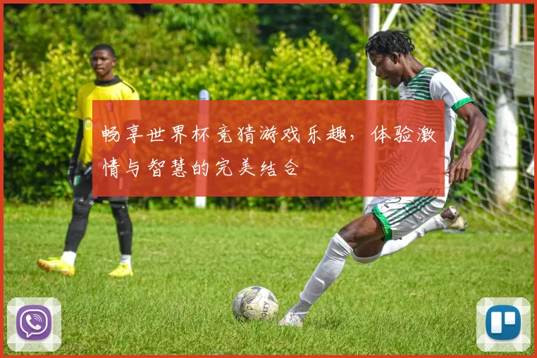 畅享世界杯竞猜游戏乐趣，体验激情与智慧的完美结合